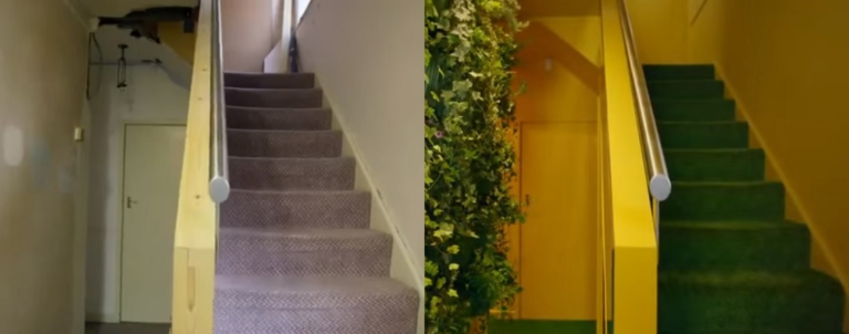 rénovation