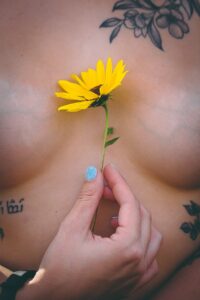 seins fermes